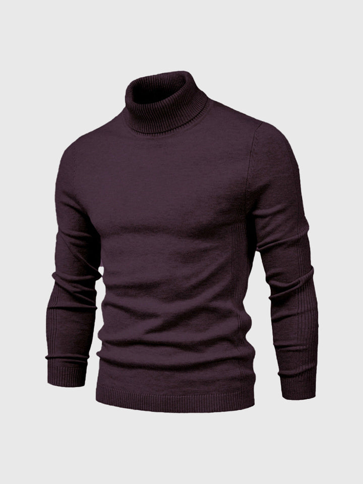 Men's Slim Fit Roll Neck Jumper
